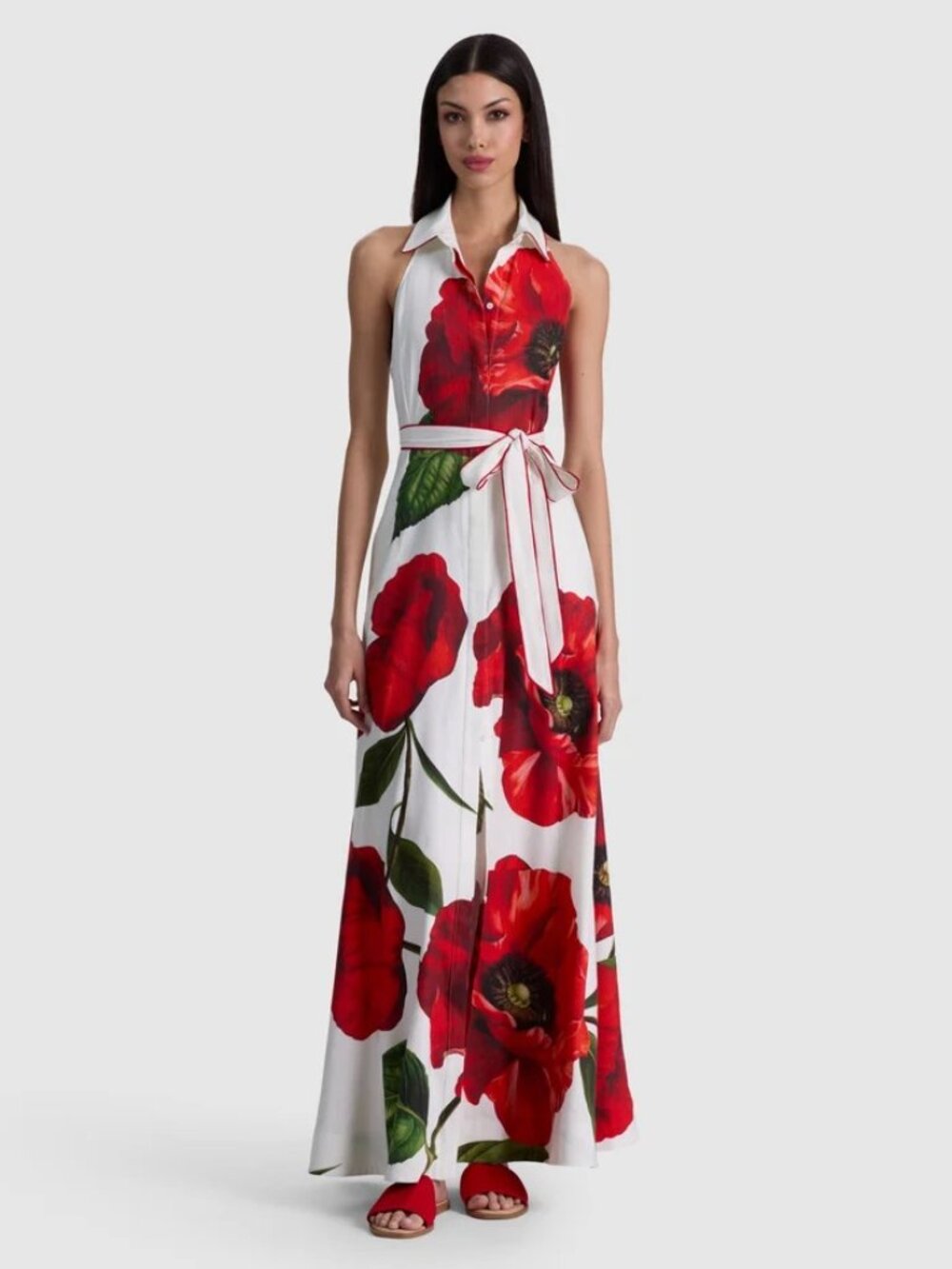 Alice and Olivia Chassidy halter maxi dress